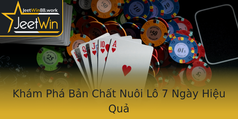 Khám Phá Bản Chất Nuôi Lô 7 Ngày Hiệu Quả Khám Phá Bản Chất Nuôi Lô 7 Ngày Hiệu Quả